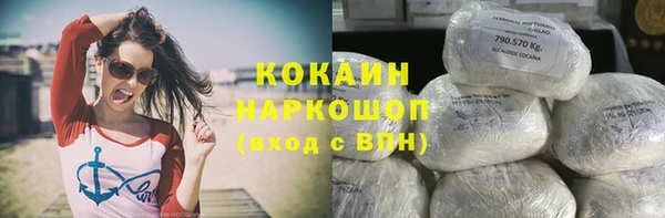 дурь Пестово