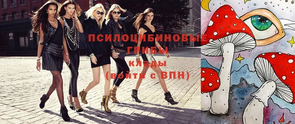 ПСИЛОЦИБИНОВЫЕ ГРИБЫ Балахна
