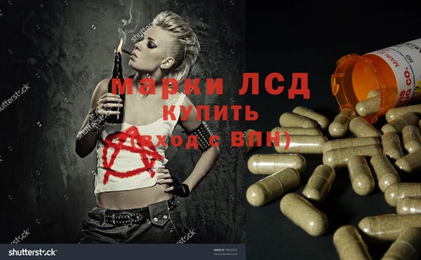 ПСИЛОЦИБИНОВЫЕ ГРИБЫ Балахна