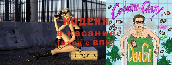 молекула духа Пересвет